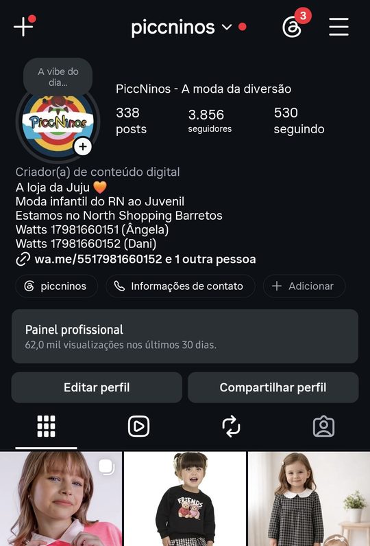 Perfil da PiccNinos no Instagram